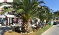 DSC00702 01